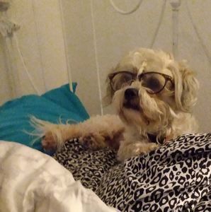 Meet your Posher, Aimee